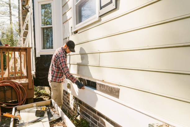 Top rated local Siding Replacement specialists in Warren, MN